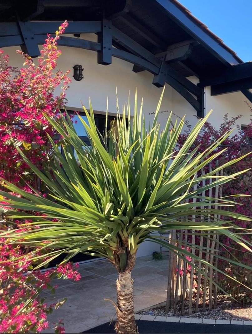 Guest house Les Du Bassin D'arcachon: Luxe With Gourmet Breakfast 4*